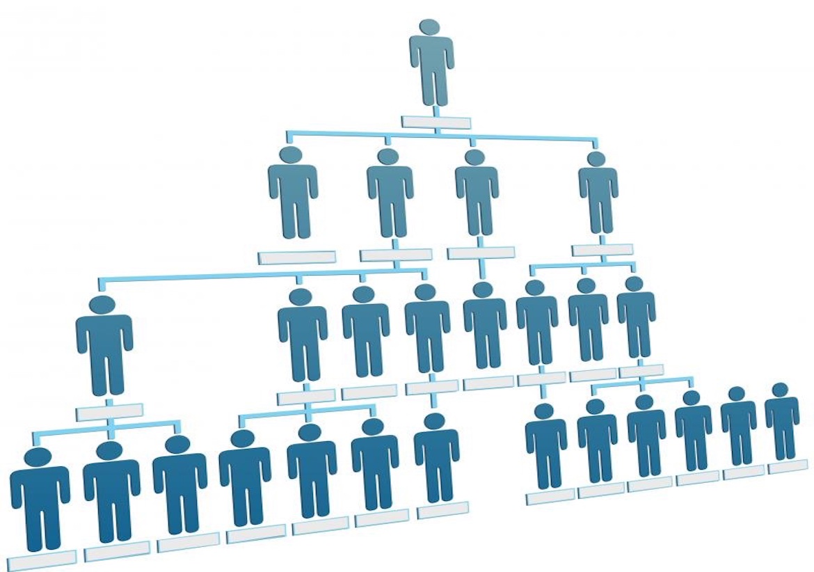 Explain The Functions Of Different Organisational Structures 