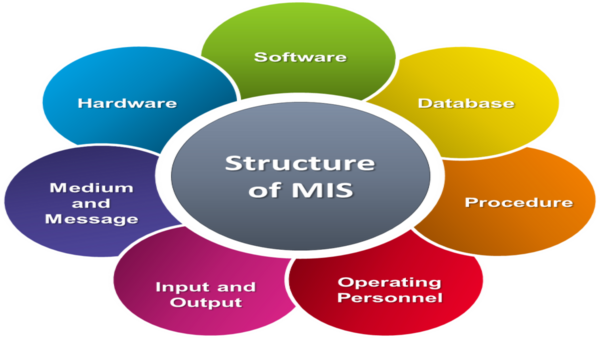 Management Information System MIS Definition Objectives And 